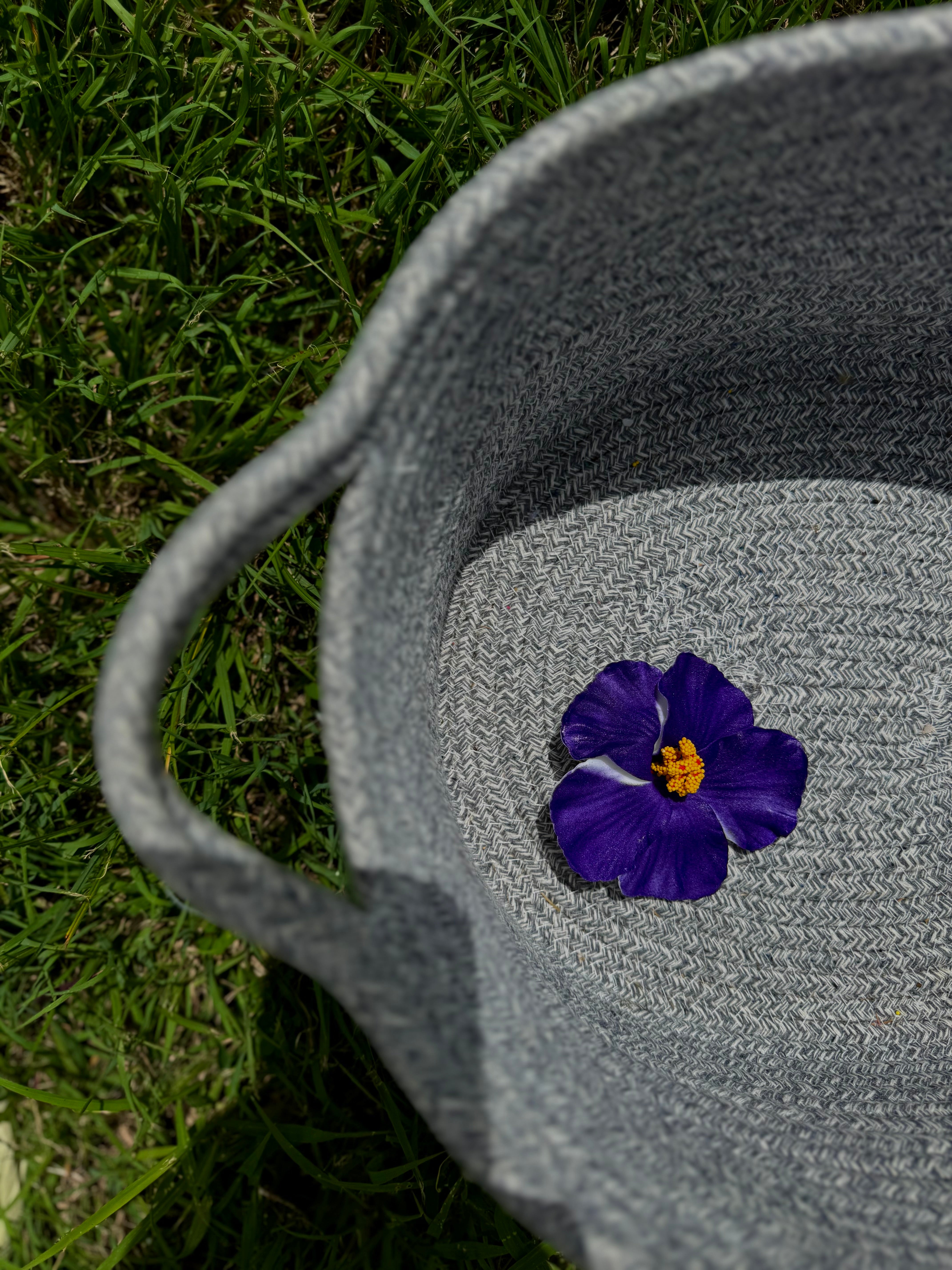 FLOWER CLIP .1