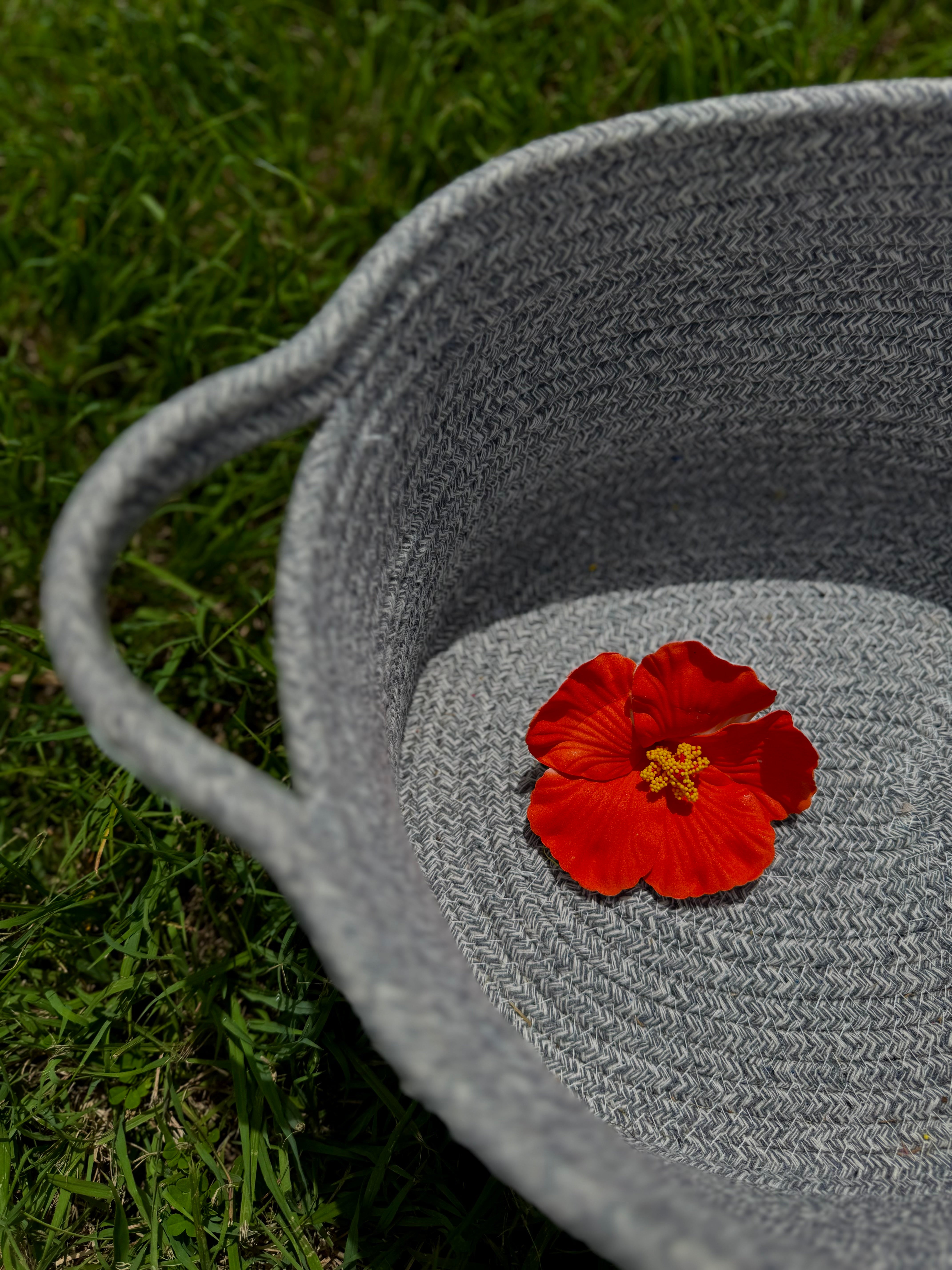 FLOWER CLIP .1