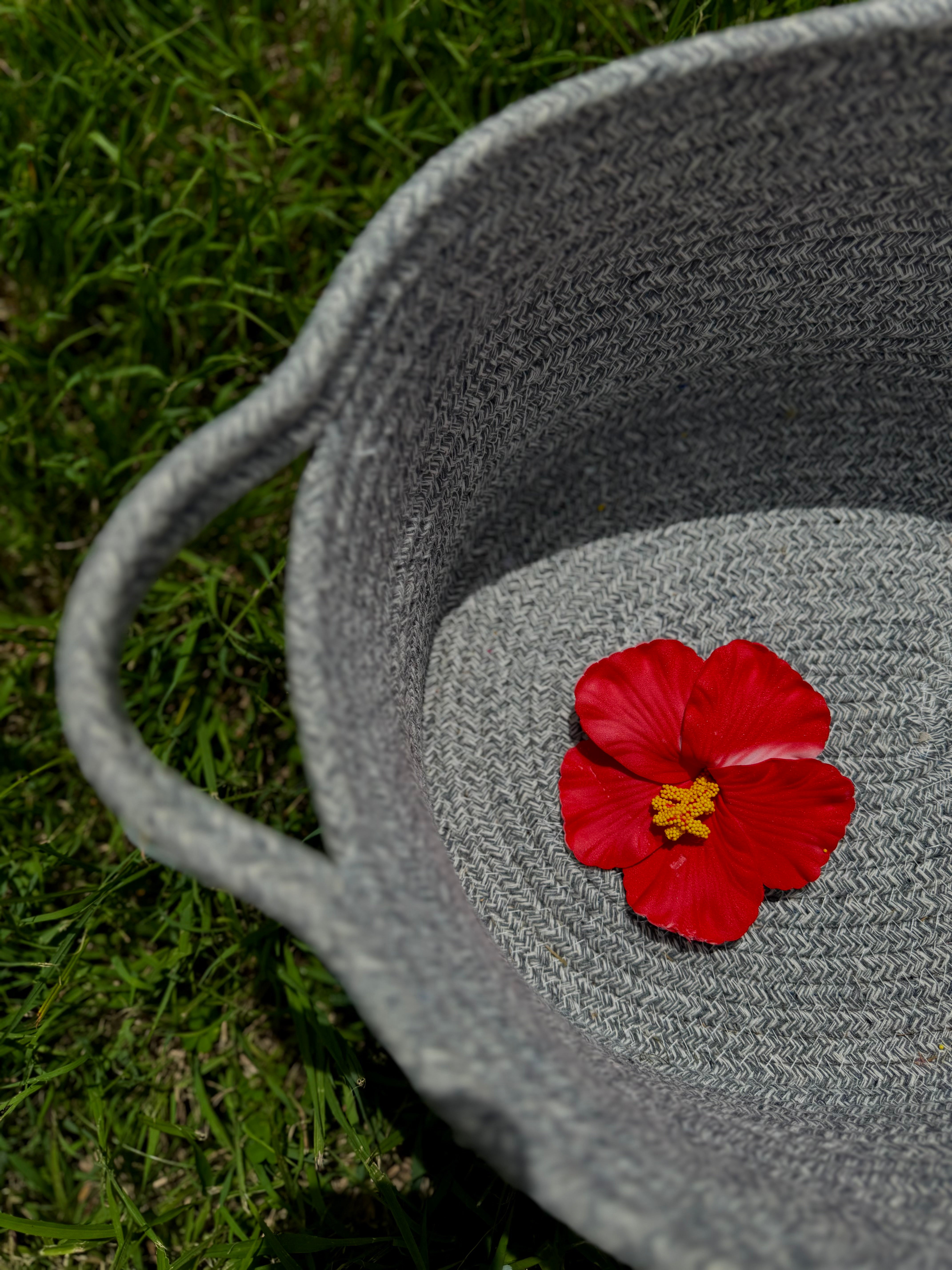 FLOWER CLIP .1